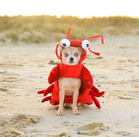 感觉格格不入？如何战胜冒牌货综合症 – Feeling out of place? How to beat impostor syndrome 