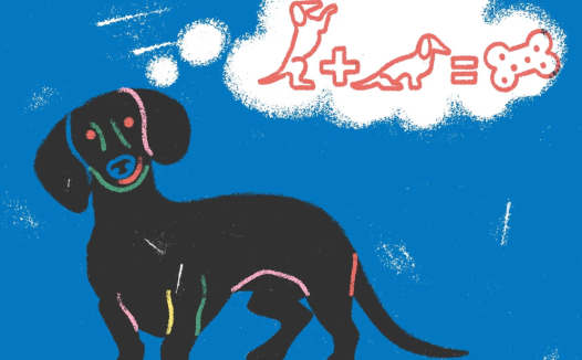 外刊阅读《如何训练你的狗而且不失去理智》