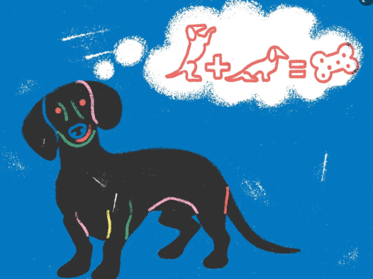 外刊阅读《如何训练你的狗而且不失去理智》